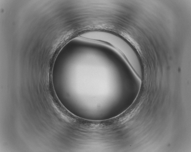 X0000089440493200706151015