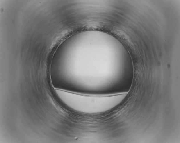 X0000089440496200706151015