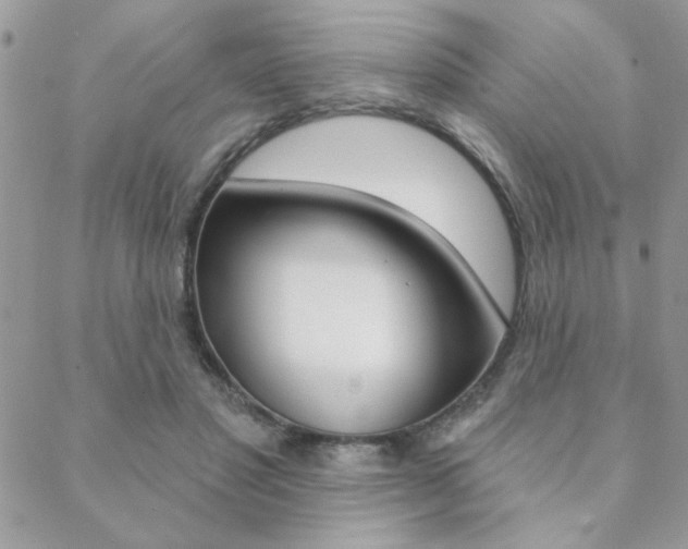 X0000089440501200706151015
