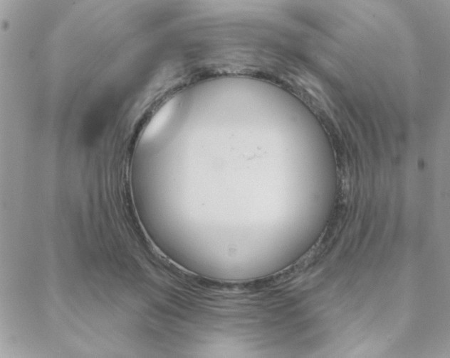 X0000089440503200706151015