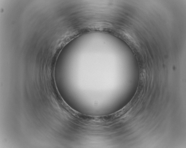 X0000089440504200706151015