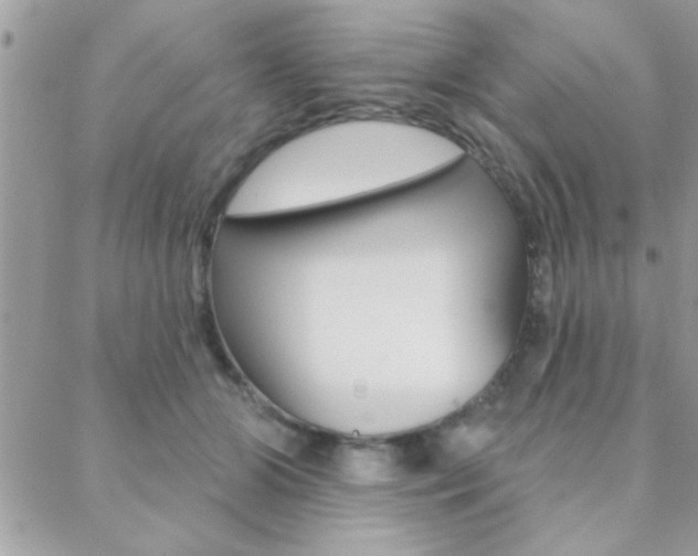 X0000089440510200706151015