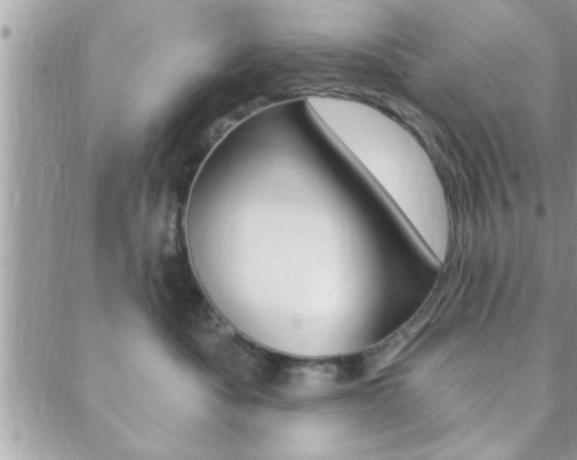 X0000089440525200706151014