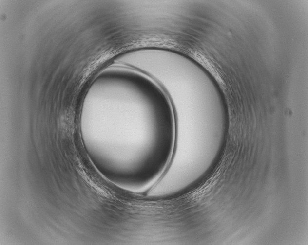 X0000089440530200706151013