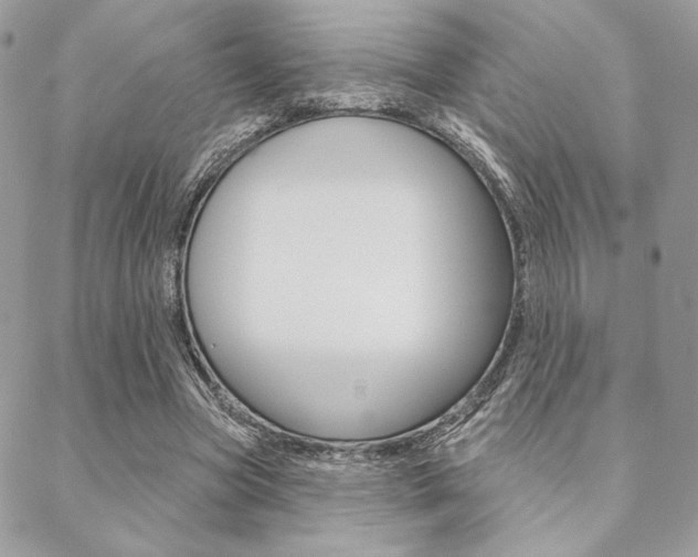 X0000089440537200706151014