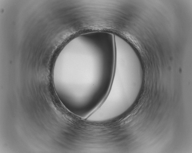 X0000089440540200706151014