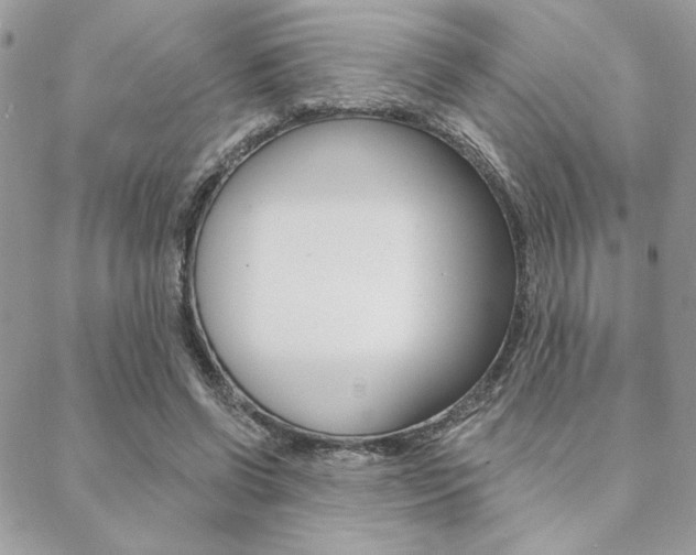 X0000089440542200706151014