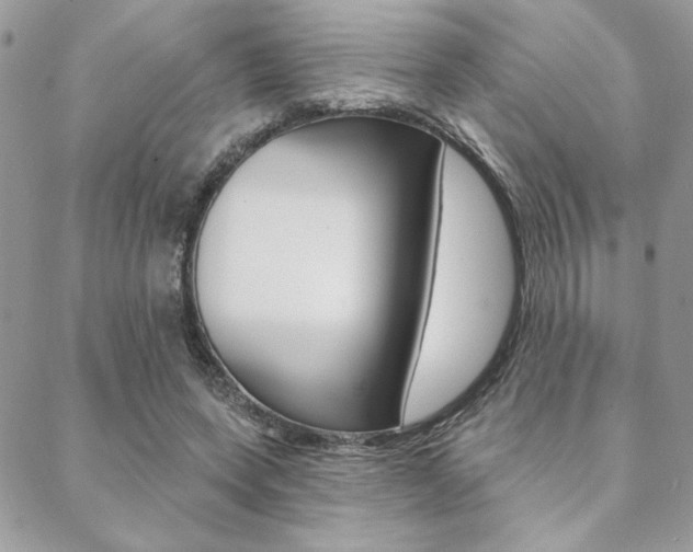 X0000089440543200706151014