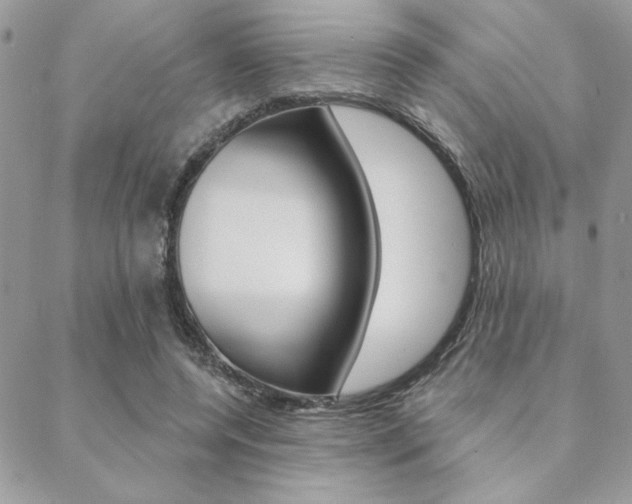 X0000089440544200706151014
