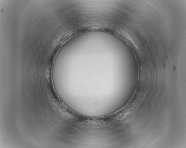 X0000089440545200706151014