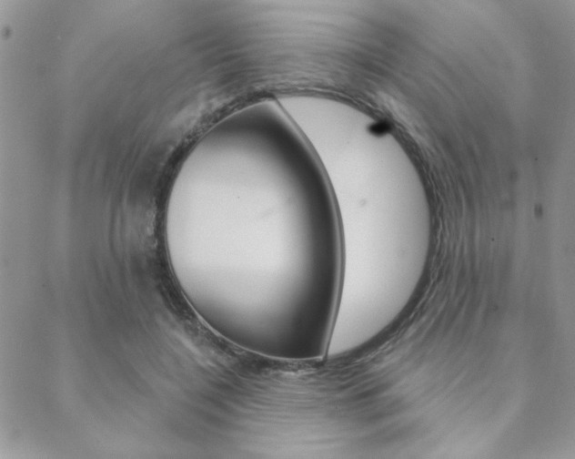 X0000089440548200706151014