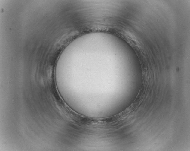 X0000089440550200706151014