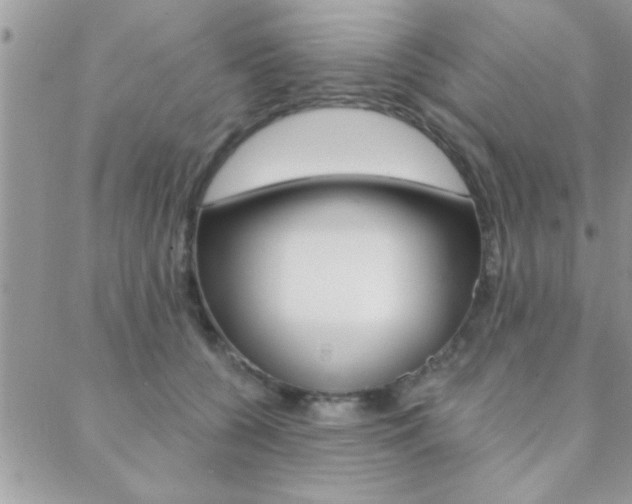 X0000089440560200706151014