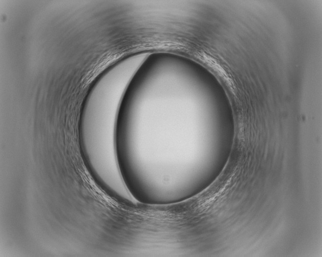 X0000089440577200706151013
