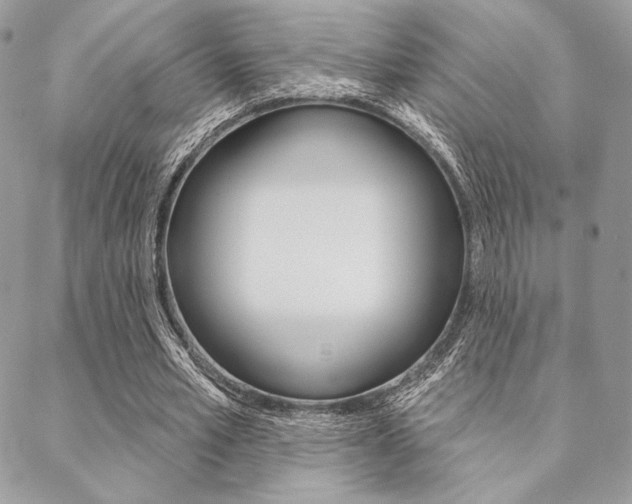 X0000089440581200706151013