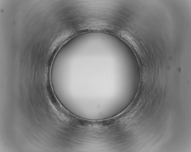 X0000089440586200706151013