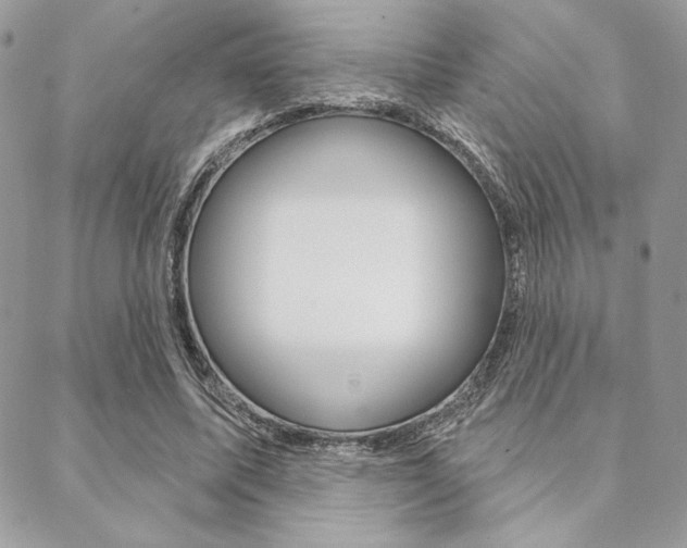 X0000089440587200706151013