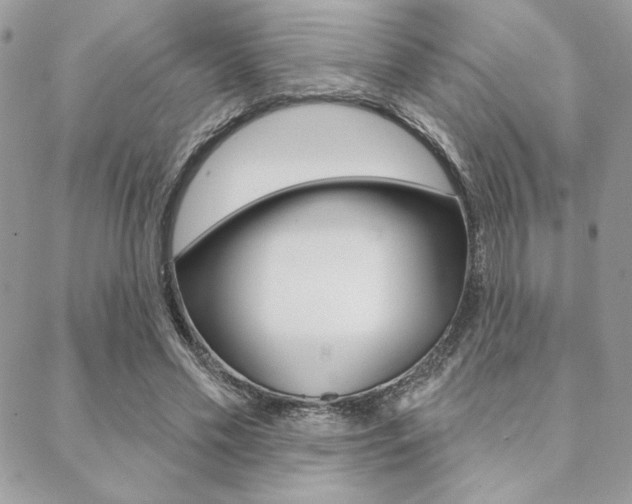 X0000089440589200706151013