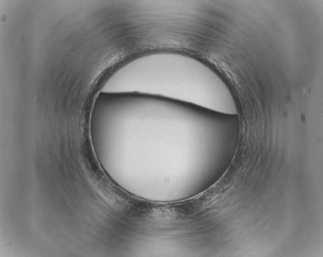 X0000089440591200706151013