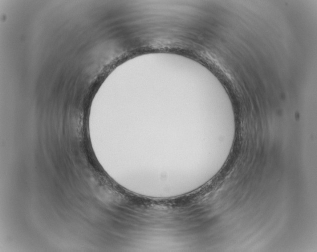 X0000089440592200706151013
