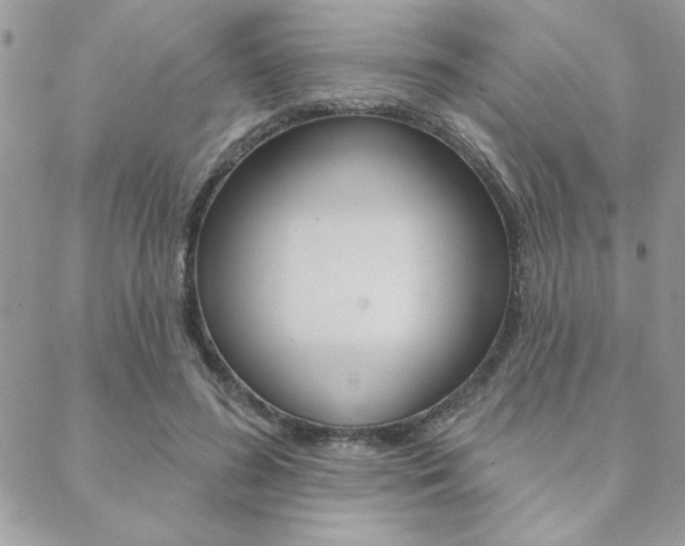 X0000089440596200706151013