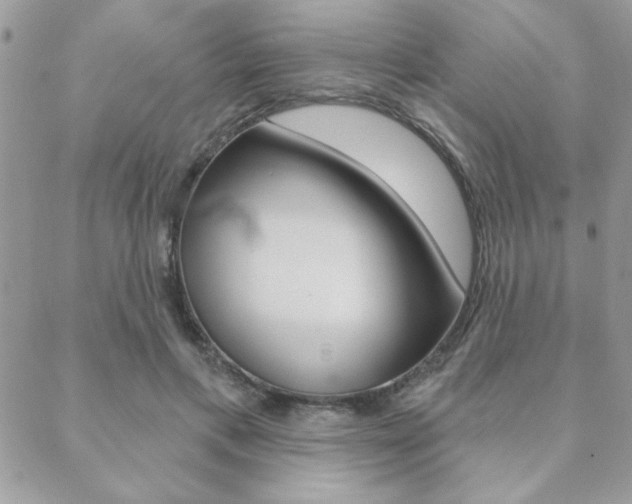 X0000089440597200706151013