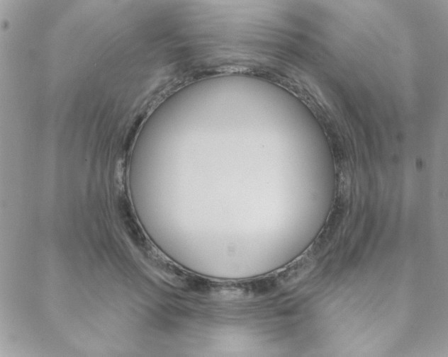 X0000089440598200706151013