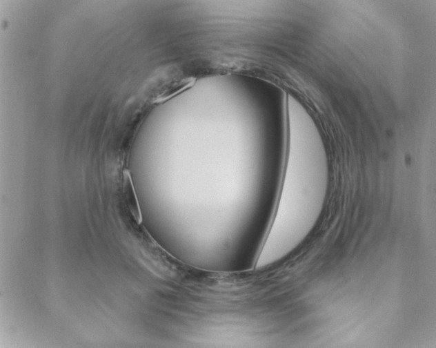 X0000089440601200706151013