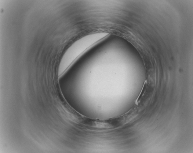 X0000089440605200706151013