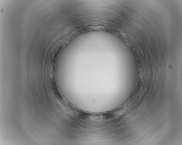 X0000089440606200706151013