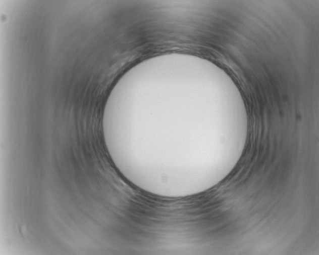 X0000089440621200706151013