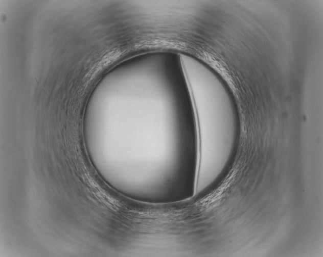 X0000089440625200706151012