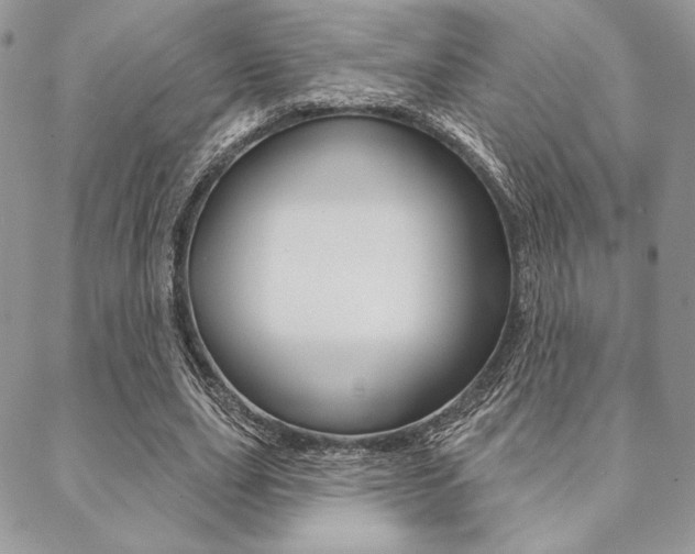 X0000089440631200706151012