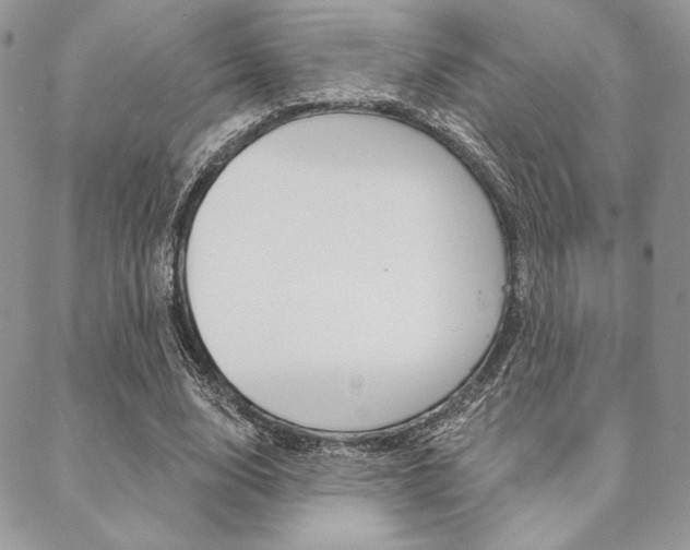 X0000089440632200706151012
