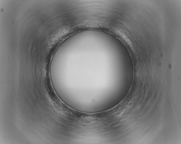 X0000089440635200706151012