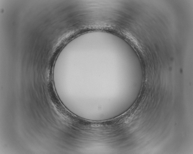 X0000089440636200706151012