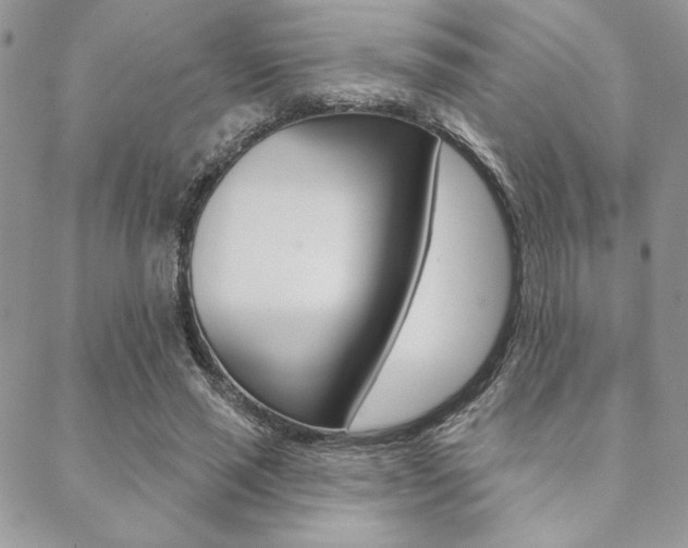 X0000089440637200706151012