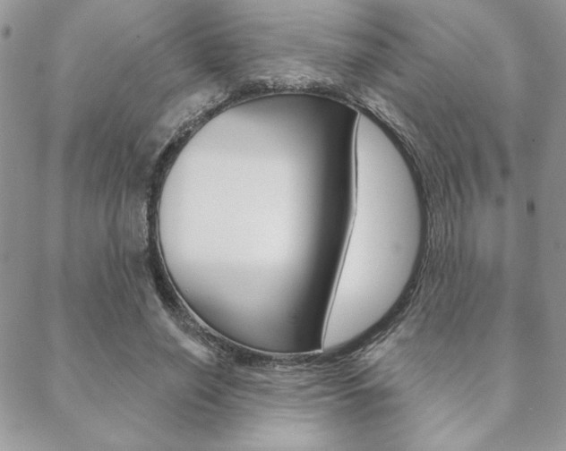 X0000089440638200706151012
