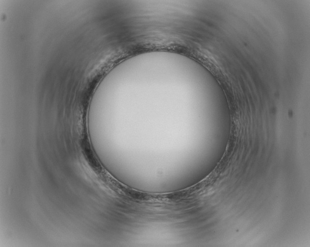 X0000089440642200706151012