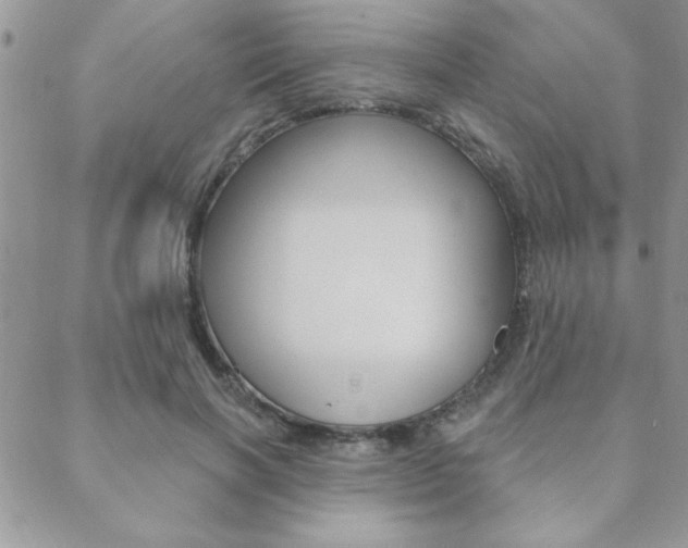 X0000089440646200706151012