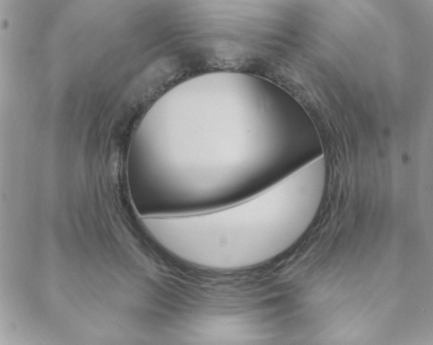 X0000089440647200706151012