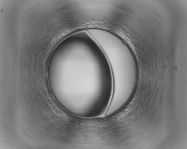 X0000089440673200706151012