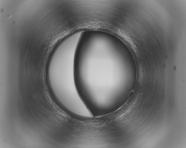 X0000089440681200706151012