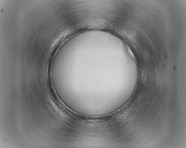 X0000089440686200706151012