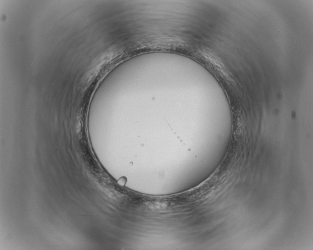 X0000089440687200706151012