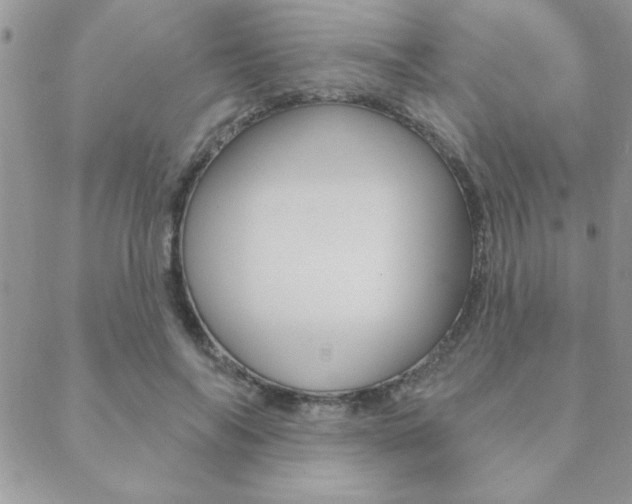 X0000089440694200706151011