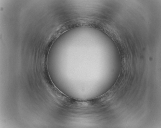 X0000089440698200706151011