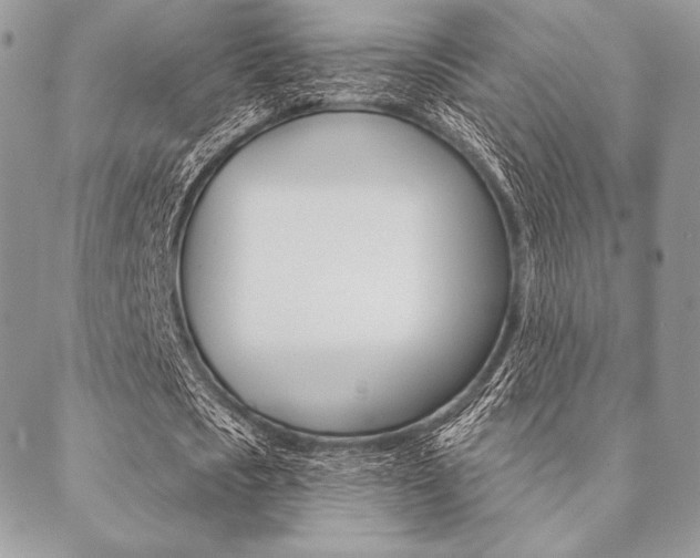 X0000089440721200706151010