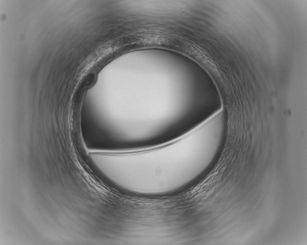 X0000089440722200706151010