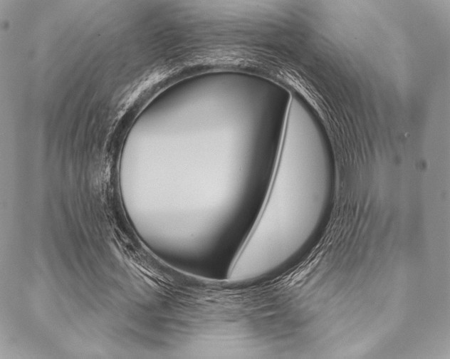 X0000089440723200706151010